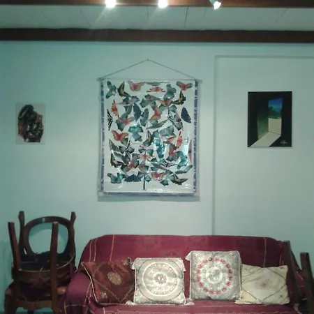 Apartman Centro *